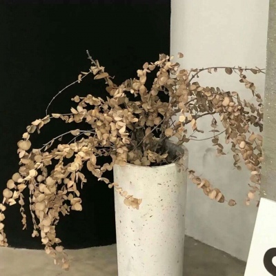 文山福瑞交流群